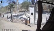 Rosario de Lerma: un joven habría arrojado agua caliente a una perra y la Justicia dictó medidas cautelares