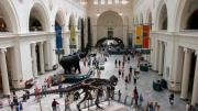¡Imperdible! ¿Cuáles museos podrás visitar gratis en Chicago este otoño?