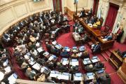 El Senado insistirá con la Ley de Emergencia en Discapacidad