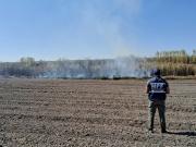 No paran las quemas de cañaverales y pastizales: aprehendieron a cuatro personas