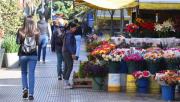El tiempo en Tucumán: preparate para un viernes caluroso y para recibir la tormenta de Santa Rosa