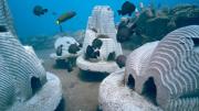 ¡Sorprendente hallazgo! Desentierran un prehistórico mundo tropical bajo Illinois