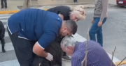 Impactante: vecinos salvaron a un perro con un hierro clavado