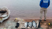 Operativos en lagos de Neuquén: los atrapan pescando con redes en Mari Menuco y Los Barreales