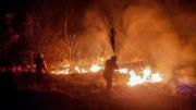 Tribunal Agroambiental reactiva medidas cautelares contra incendios ante riesgo de peligro inminente