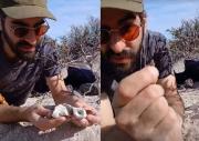 Dinosaurios en vivo: el streaming del Conicet en Río Negro lanzó un adelanto imperdible