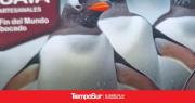 Zarpado: el sueño industrial de un alfajor premium en Ushuaia
