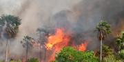 Bolivia combate tres incendios activos y mantiene alerta roja en siete municipios