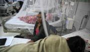 Acfiman: El dengue sale ganando con el clima – Correo del Caroní