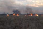 Bomberos de Capital controlan incendios forestales en barrios Siglo XXI y Virgen de Guadalupe