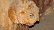 El enigma de un cráneo no humano encontrado en Grecia