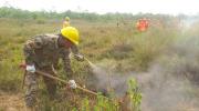 Calvimontes informa que hay tres incendios forestales activos en dos departamentos