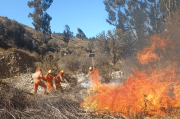 Defensa Civil reporta tres incendios en el país