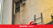 Bomberos rescataron a un gatito que no podía bajar