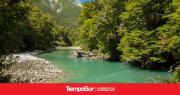 Chubut avanza con la implementación del Programa de Educación Ambiental para los Bosques