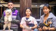 Darán en adopción a los canes rescatados en un criadero clandestino