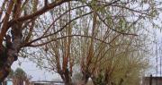 Granizo en la Chimbera: mirá las fotos y videos