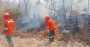 Tribunal Agroambiental dicta de oficio medidas cautelares contra incendios forestales y urge declarar desastre en el Parque Noel Kempff Mercado