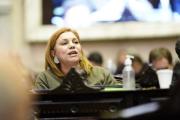 Karina Banfi advirtió sobre la crisis del radicalismo y la corrupción en salud
