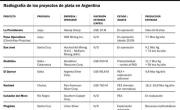 El boom de la plata: los proyectos que pueden transformar la minería argentina bajo el RIGI