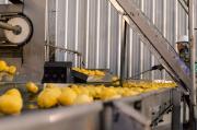 Día de la Industria: Tucumán, orgullo productivo del NOA