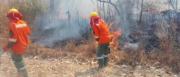 Tribunal Agroambiental dicta de oficio medidas cautelares contra incendios forestales y urge declarar desastre en el Parque Noel Kempff Mercado