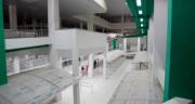 Arce inaugura mercado de Bs 49 millones y entrega viviendas en Yacuiba
