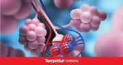 Día de la Leucemia Linfocítica Crónica: ¿Qué es?