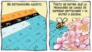 Antes de tiempo, los primeros brotes de primavera, llegan con Chelo Candia al Voy