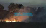 Incendio de campo asustó a los vecinos de Arturo Seguí