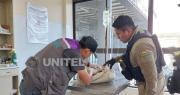 Hallan a un animal colgado en una casa; la Policía investiga biocidio