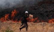 Bolivia reporta 855 focos de calor y dos incendios forestales