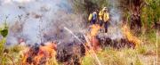 Informe: Bolivia reporta 855 focos de calor