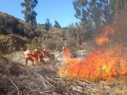Santa Cruz enfrenta dos incendios forestales activos