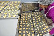 Roca diversifica la producción e impulsa la idea de una alimentación más sana