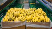 El país de América del Sur que es el mayor exportador de bananas del mundo