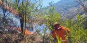 Incendios forestales: Gobierno activa alerta roja en cuatro municipios y alerta naranja en 80 municipios
