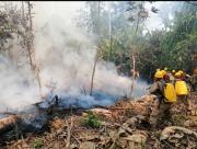 Bolivia enfrenta seis incendios forestales en cuatro departamentos
