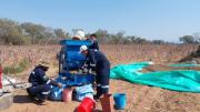 Afirman que fracasó el cultivo de semillas oleíferas porque no se cumplió con la meta y se gastó Bs 121,2 millones