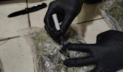 Incautan más de 500 kilos de droga en operativos en Santa Cruz y otras regiones