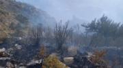 Incendio en Torotoro deja una mujer fallecida, ocho viviendas destruidas y 30 familias damnificadas
