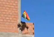 Investigan por biocidio el hallazgo de un zorro andino colgado en una vivienda