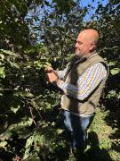 Primera cosecha del café con aroma tucumano