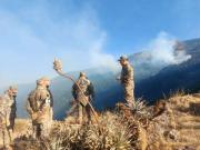 Bolivia enfrenta seis incendios forestales