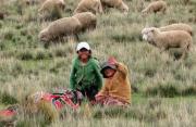 El 20% de 335 de municipios en Bolivia en peligro de cierre con presupuesto del 2026