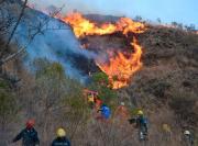 Defensa Civil: Bolivia mantiene un solo incendio forestal activo