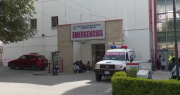 Niña picada por araña de rincón sale de terapia intensiva y aún se espera saber si tendrá secuelas