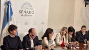 Senadores opositores apuntaron contra el Gobierno por “instalar la censura previa”