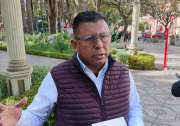 Diputado Rosas rechaza propuesta de Rodrigo Paz de nacionalizar autos Chutos