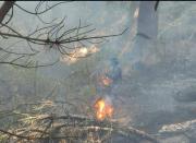 Gobierno asegura que solo existe un incendio forestal activo en el país y se concentra en la reserva Ñembi Guasu